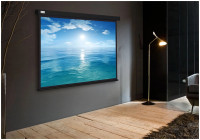 Проекционный экран Cactus Wallscreen 104x186 CS-PSW-104X186-BK
