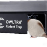 Электронный уничтожитель насекомых Owltra ERZ50