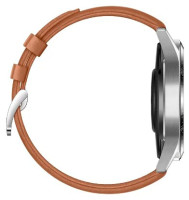 Умные часы Huawei Watch GT2 Classic Edition 46 мм (коричневый)