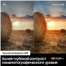 Телевизор Samsung QE55Q60ABU