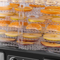 Сушилка для овощей и фруктов Endever Skyline FD-61