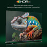 Телевизор DIGMA Pro QLED 43L