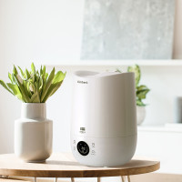 Увлажнитель воздуха Timberk Shell A16E