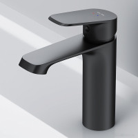 Смеситель Am.Pm Func F8F02122