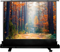 Проекционный экран Cactus FloorExpert 90x120 CS-PSFLE-120X90