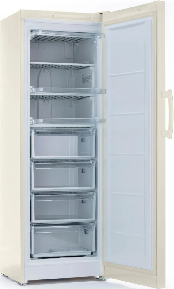 Морозильная камера Indesit DSZ 5175 E