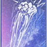 Самокат Xaos Comet (синий)