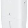 Осушитель воздуха Royal Clima Carisma Villa RD-CR40-E