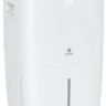 Осушитель воздуха Royal Clima Carisma Villa RD-CR40-E