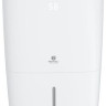 Осушитель воздуха Royal Clima Carisma Villa RD-CR40-E