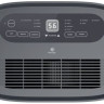 Осушитель воздуха Royal Clima Carisma Villa RD-CR40-E