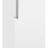 Морозильник Beko RFNK290T21W