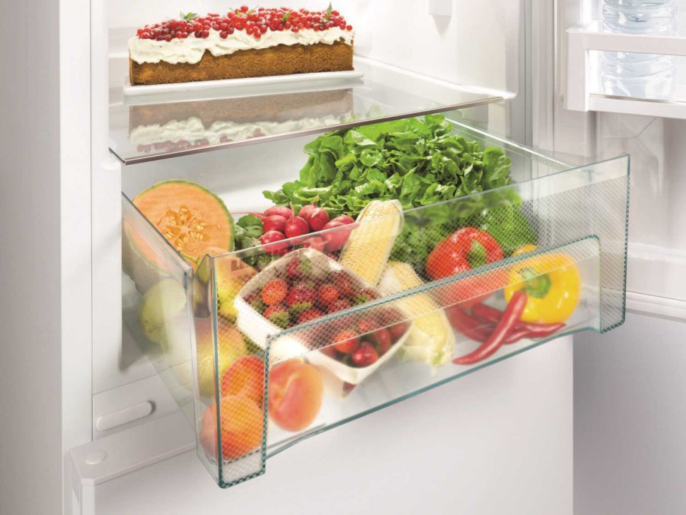 Холодильник с нижней морозильной камерой Liebherr CNel 4813