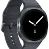 Умные часы Samsung Galaxy Watch8 40 мм LTE (графит)