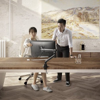 Кронштейн ErgoSmart Spring