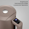 Электрический чайник Redmond SkyKettle KM231S (серо-коричневый)