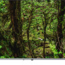 Телевизор HARPER 65U770TS