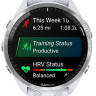 Умные часы Garmin Forerunner 965 (белый/серый)