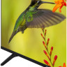 Телевизор Grundig 40 GHF 6500