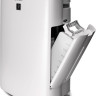 Климатический комплекс Sharp KIN-51RW