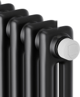 Радиатор Royal Thermo Insignia VC2180 - 12 секций RAL9005m