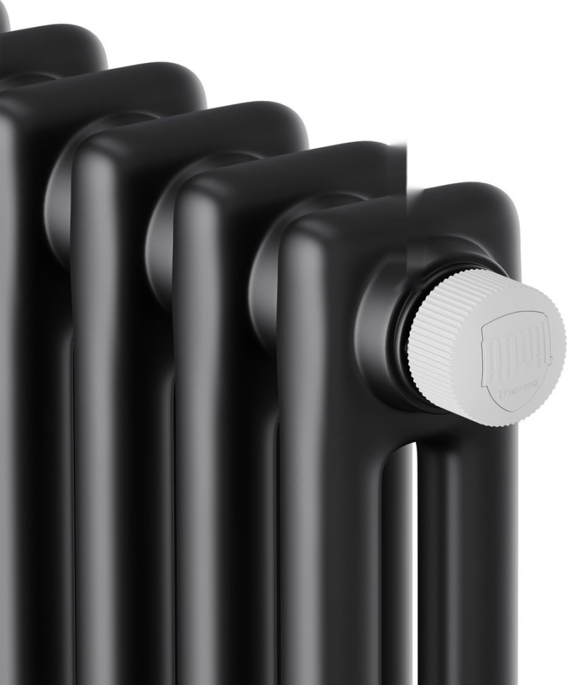 Радиатор Royal Thermo Insignia VC2180 - 12 секций RAL9005m