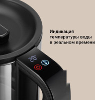 Электрический чайник Redmond KG259S (черный/тонировка)