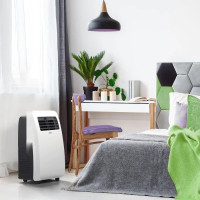 Мобильный кондиционер Ballu Aura BPAC-07 CP/N1_24Y