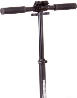 Самокат RGX Cruiser (черный/золотой)