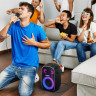 Портативная акустика Tronsmart Halo 110