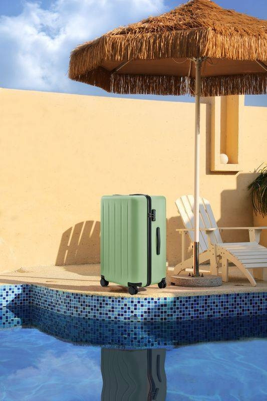 Чемодан-спиннер Ninetygo Danube MAX Luggage 24" (зеленый)