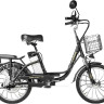 Электровелосипед MyWay Truck 1.0 350 20 (15, черный)