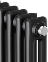 Радиатор Royal Thermo Insignia C2180 - 10 секций RAL9005m