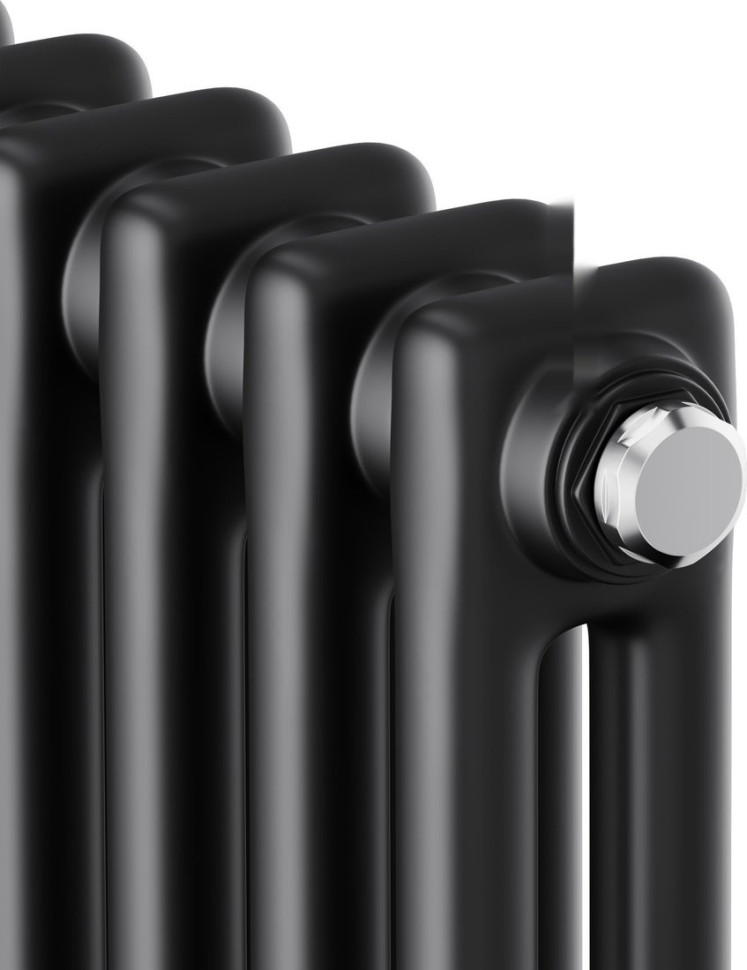 Радиатор Royal Thermo Insignia C2180 - 10 секций RAL9005m