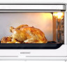 Мини-печь NORDFROST R 300 W