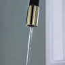 Смеситель Paulmark Salix Sa213419-G (черный/золото)