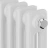 Радиатор Royal Thermo Insignia C2180 - 08 секций RAL9016