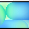 Планшет Samsung Galaxy Tab S10 FE+ Wi-Fi SM-X620 12GB/256GB (серый)