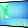 Планшет Samsung Galaxy Tab S10 FE+ Wi-Fi SM-X620 12GB/256GB (серый)