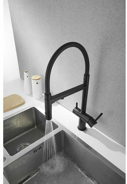 Смеситель Rose R958H (черный)