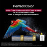 Телевизор LG OLED evo AI C5 OLED55C5RLA