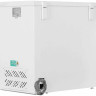 Морозильный ларь Snowcap CF-250