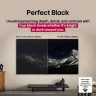 Телевизор LG OLED AI B5 OLED55B5RLA