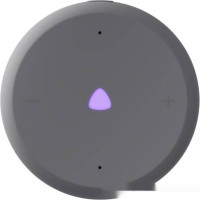 Умная колонка Яндекс Станция Лайт 2 без часов (серый)