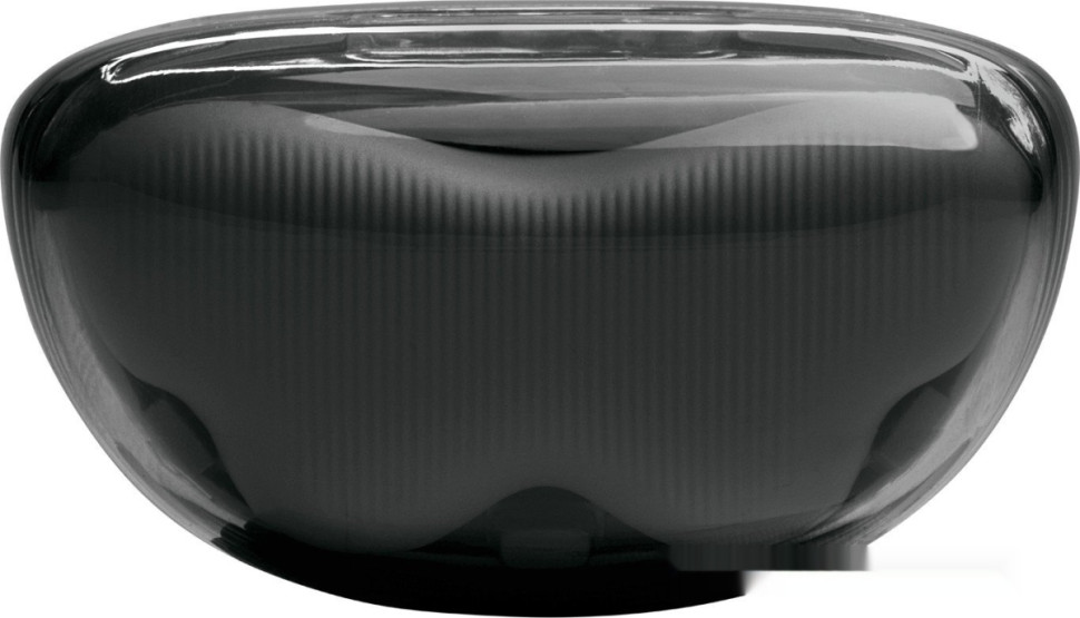 Наушники JBL Tune Flex 2 Ghost (черный)