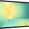 Планшет Samsung Galaxy Tab S10 FE+ Wi-Fi SM-X620 12GB/256GB (серебристый)