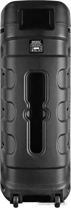 Колонка для вечеринок Ginzzu GM-224