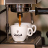 Рожковая помповая кофеварка Gaggia Classic (нержавеющая сталь)