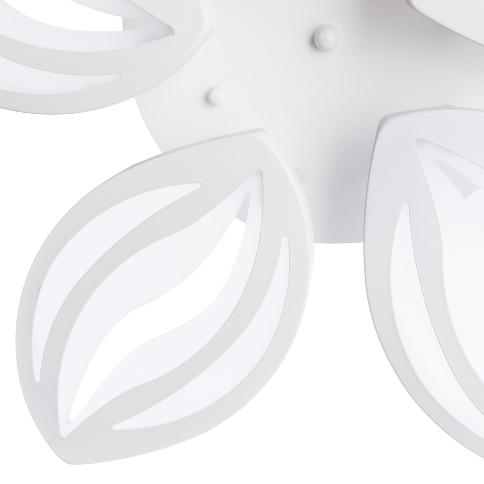 Люстра Arte Lamp Daisy A1098PL-5WH