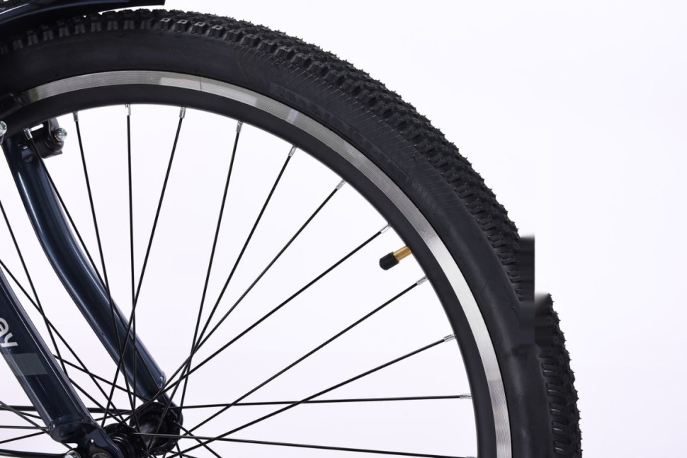 Электровелосипед MyWay Let 1.0 250 26 Pro (синий)